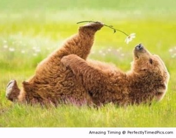 Take-time-to-smell-the-flower-resizecrop--