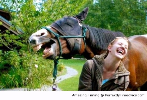 and-then-I-said-engage-resizecrop--