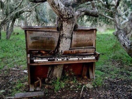 piano tree