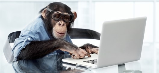 istock-18586699-monkey-computer
