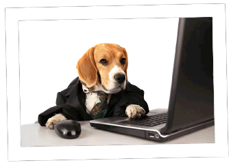 340_dog_typing
